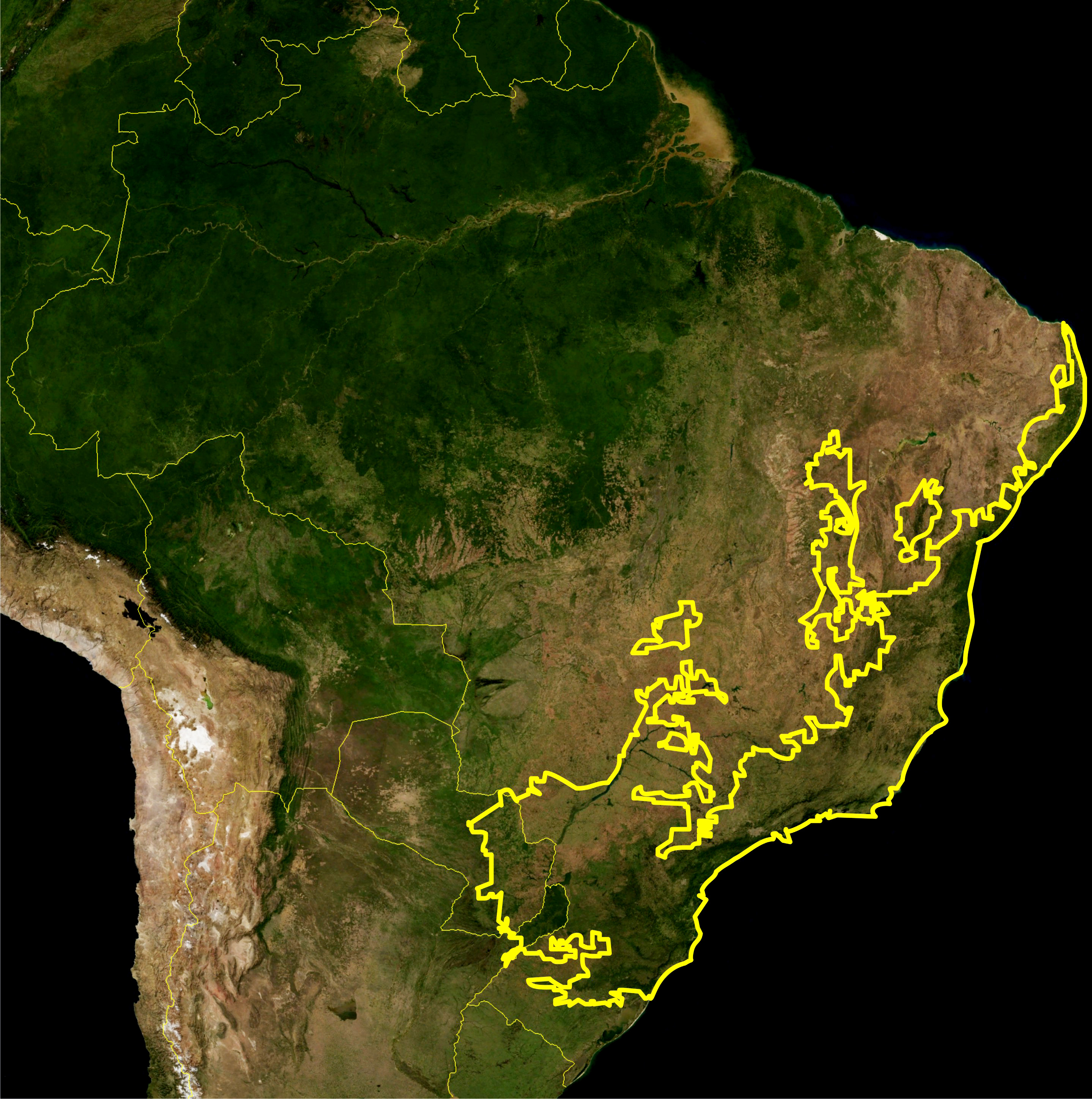 Atlantic Forest WWF