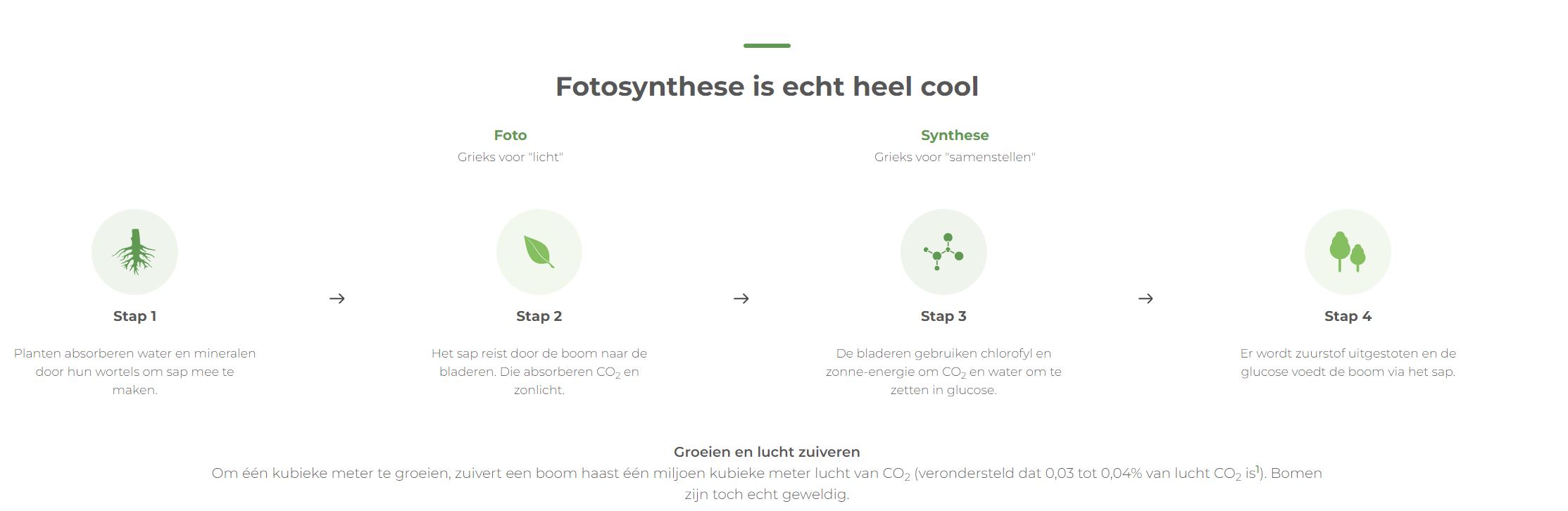 Knipsel fotosynthese